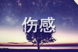 2022年常用唯美傷感的句子75條