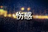 2023年有關(guān)形容傷感的句子合集37條