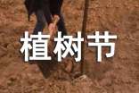 2023年溫馨植樹節(jié)祝福語錦集46句